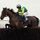 Aiteen Thirtythree (IRE)