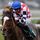 The Giant Bolster