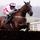 Flemenstar (IRE)