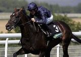 Yeats (IRE)