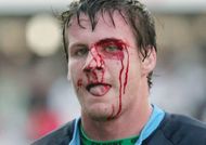 wikus_van_heerden_bulls_bleeding_330 wikus_van_heerden_bulls_bleeding_330
