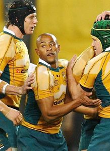 Wallabies celebrate Wallabies celebrate