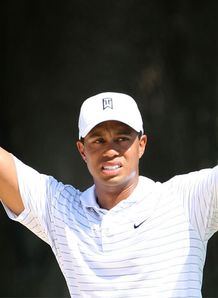 woods tiger