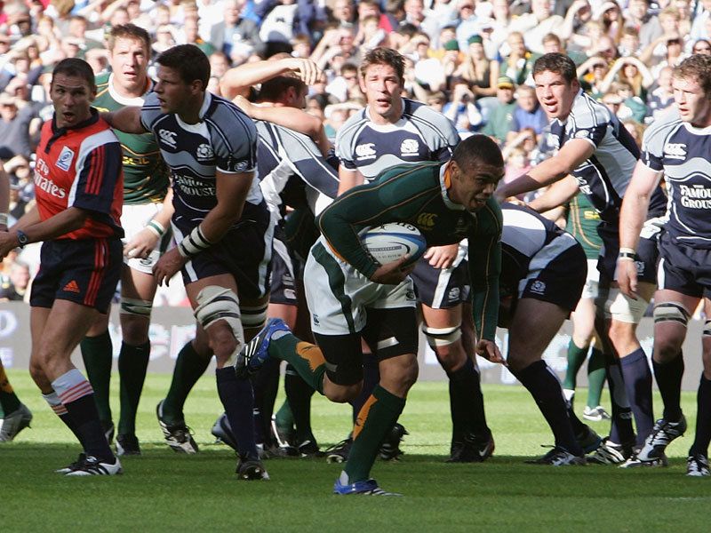 Scotland vs South Africa Result, score & review Green and Gold Rugby