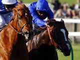 Blue Ksar (FR)