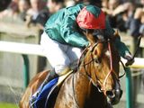 Fast Company (IRE)