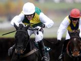 Albertas Run (IRE)
