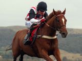 Franchoek (IRE)