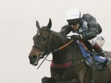 Fair Along (GER)
