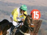 Newmill (IRE)