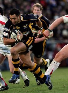 Riki Flutey Wasps Riki Flutey Wasps