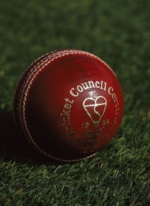 Twenty20 for $20m