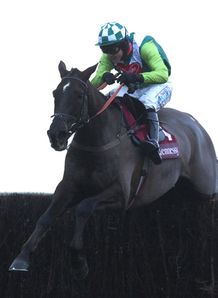 800Hennessy Cognac Gold Cup Denman