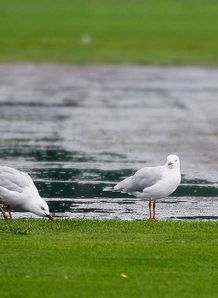 Title chasers frustrated