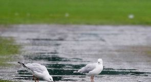 Title chasers frustrated
