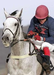 Warwick gold for D'Argent