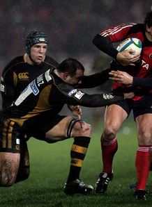 Champions Wasps knocked out Champions Wasps knocked out