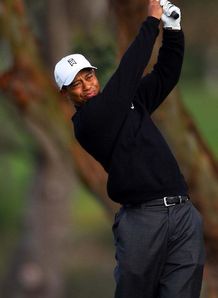 woods tiger
