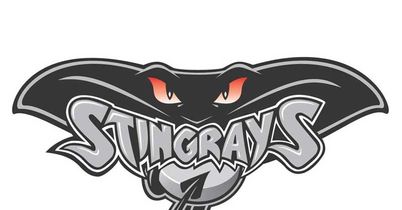 hull stingrays logo 08