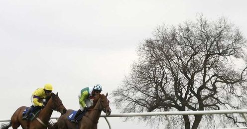 plumpton