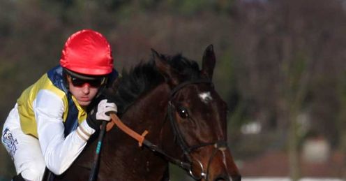 sizing europe