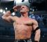 WWE Survivor Series