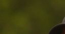 Sergio Garcia