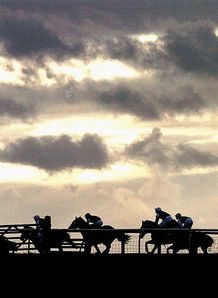 Freeze decimates fixtures