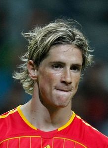 fernando torres spain