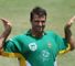 SA ICL stars frozen out