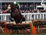 Captain Cee Bee (IRE)