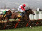 Celestial Halo (IRE)