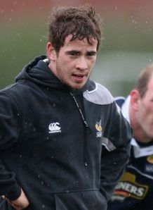 Dallaglio and cipriani wasps