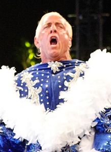 WWE DVD reviews