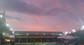 Owls name new chairman