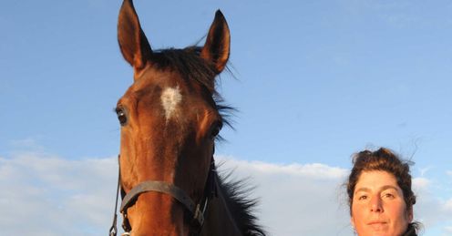 horse tidal bay