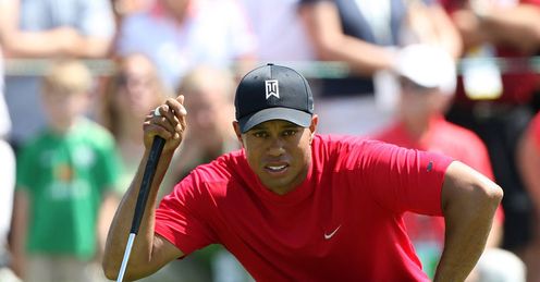 Tiger: major hunting
