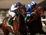 Fanjura (IRE)
