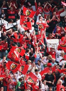 Toulouse fans go wild