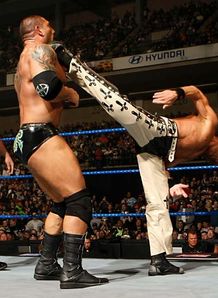 WWE Blacklash The Animal HBK
