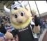 Vikings: things looking good