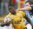 Chambers hails Tigers time