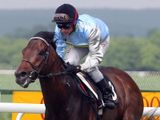 Bankable (IRE)