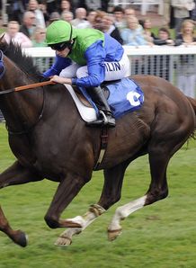 King Of Dixie York