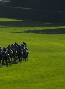 Ayr meeting washed out