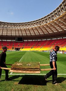 Platini plays down pitch fear