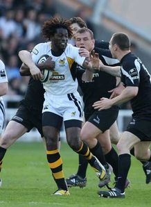 paul sackey wasps v newcastle 7/5/2008