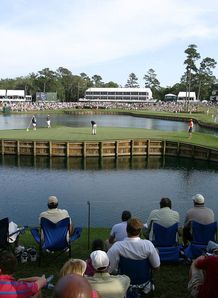 sawgrass