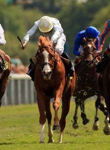 Tartan Bearer wins Dante