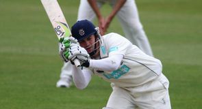 Hants pair stand firm